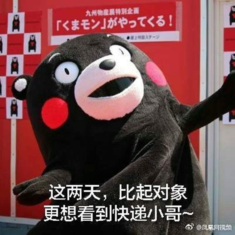 圖片19 圖片19