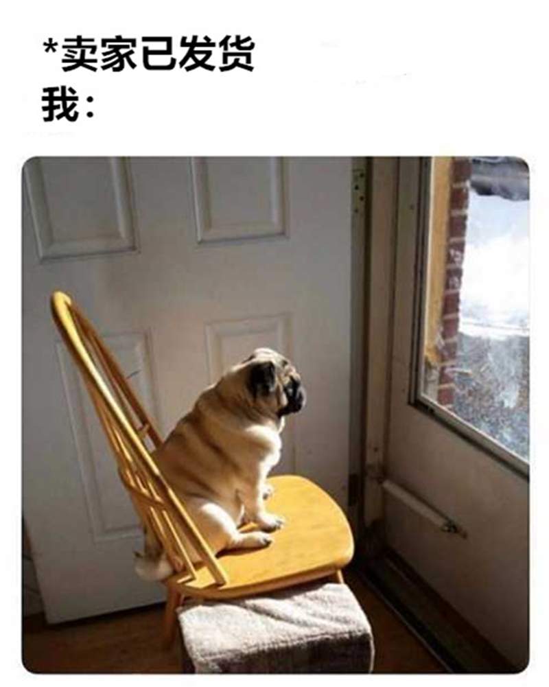 圖片5 圖片5