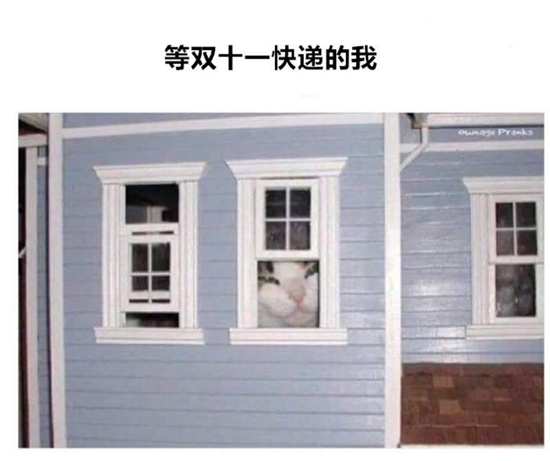 圖片7 圖片7