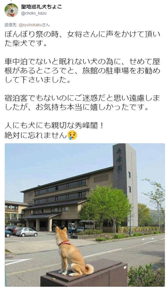 圖片7 圖片7