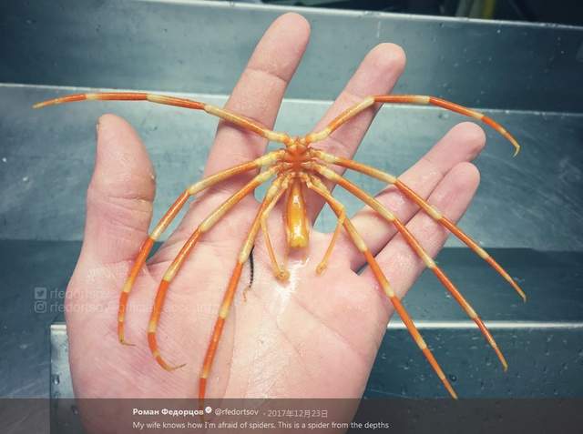 圖片13 圖片13