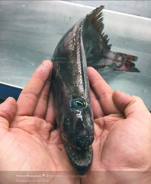圖片9 圖片9
