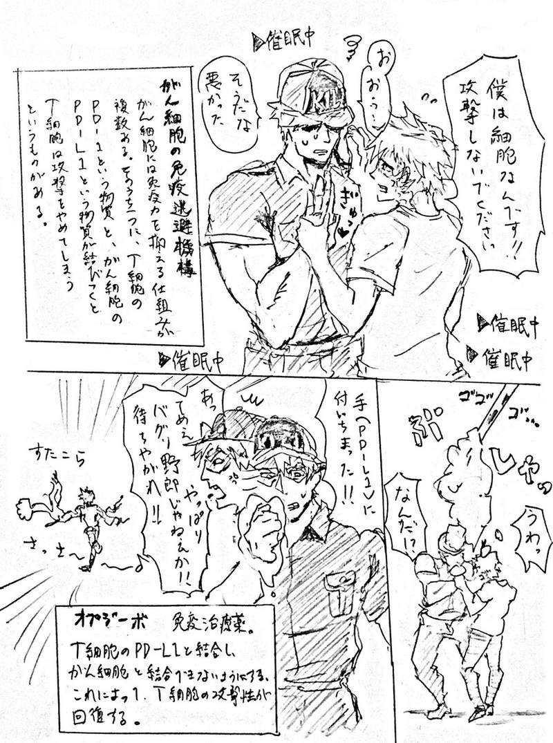 圖片12 圖片12