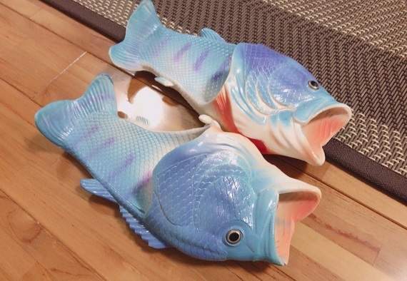 圖片5 圖片5