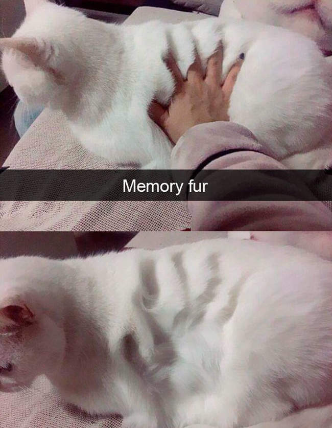 圖片5 圖片5
