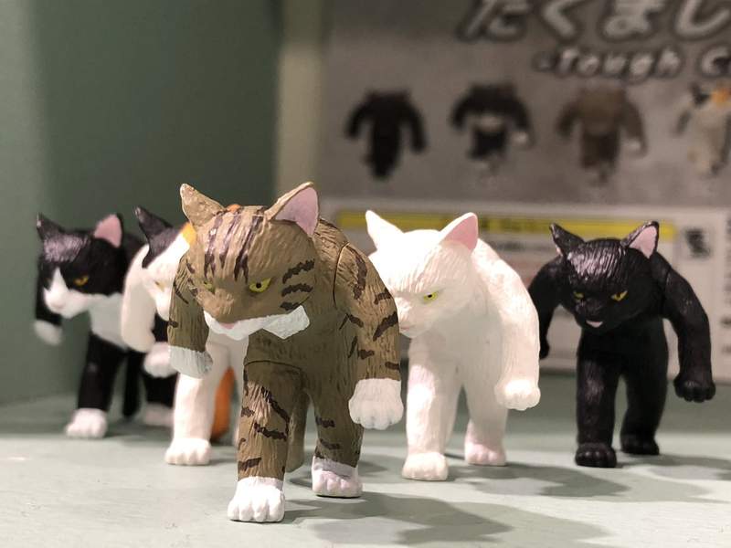 圖片11 圖片11