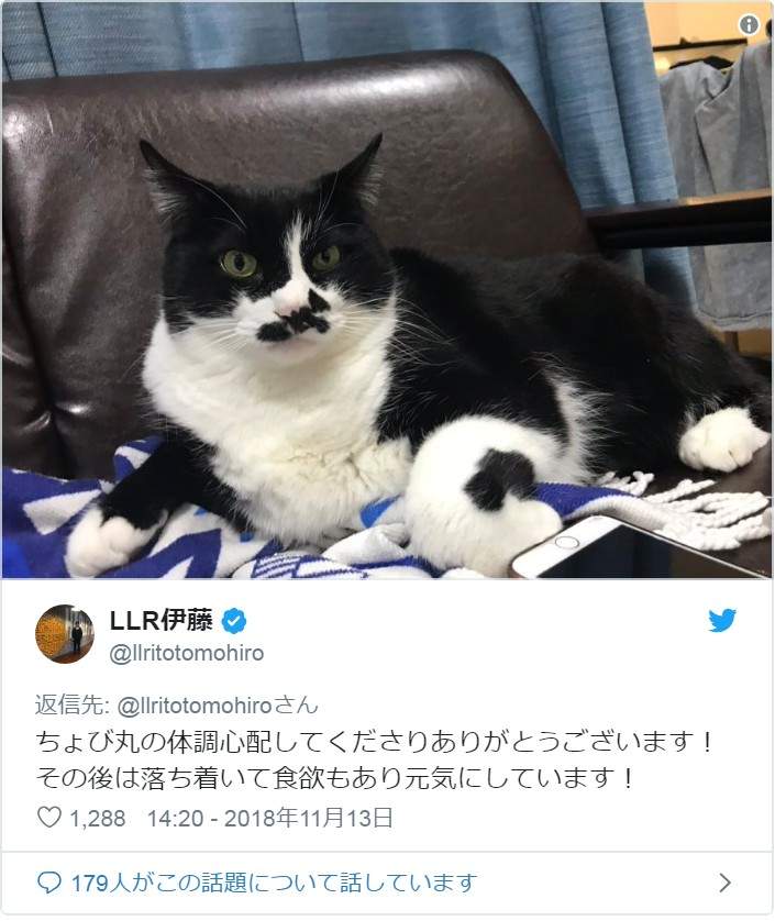 圖片4 圖片4