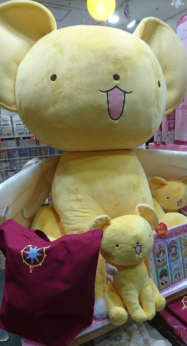 圖片10 圖片10