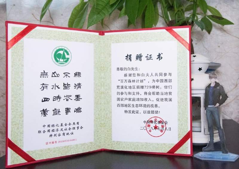 圖片17 圖片17