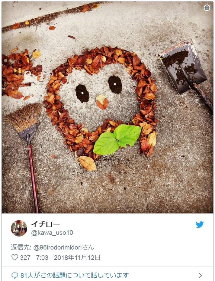 圖片5 圖片5