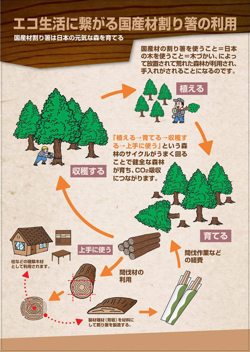 圖片4 圖片4