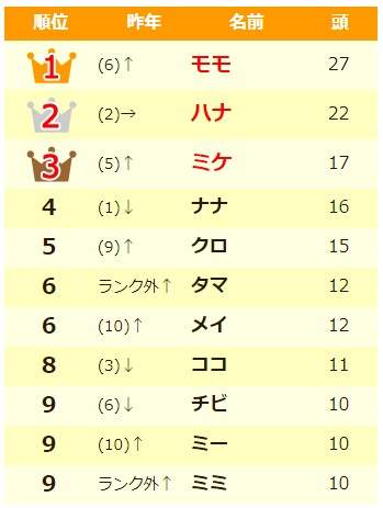 圖片4 圖片4