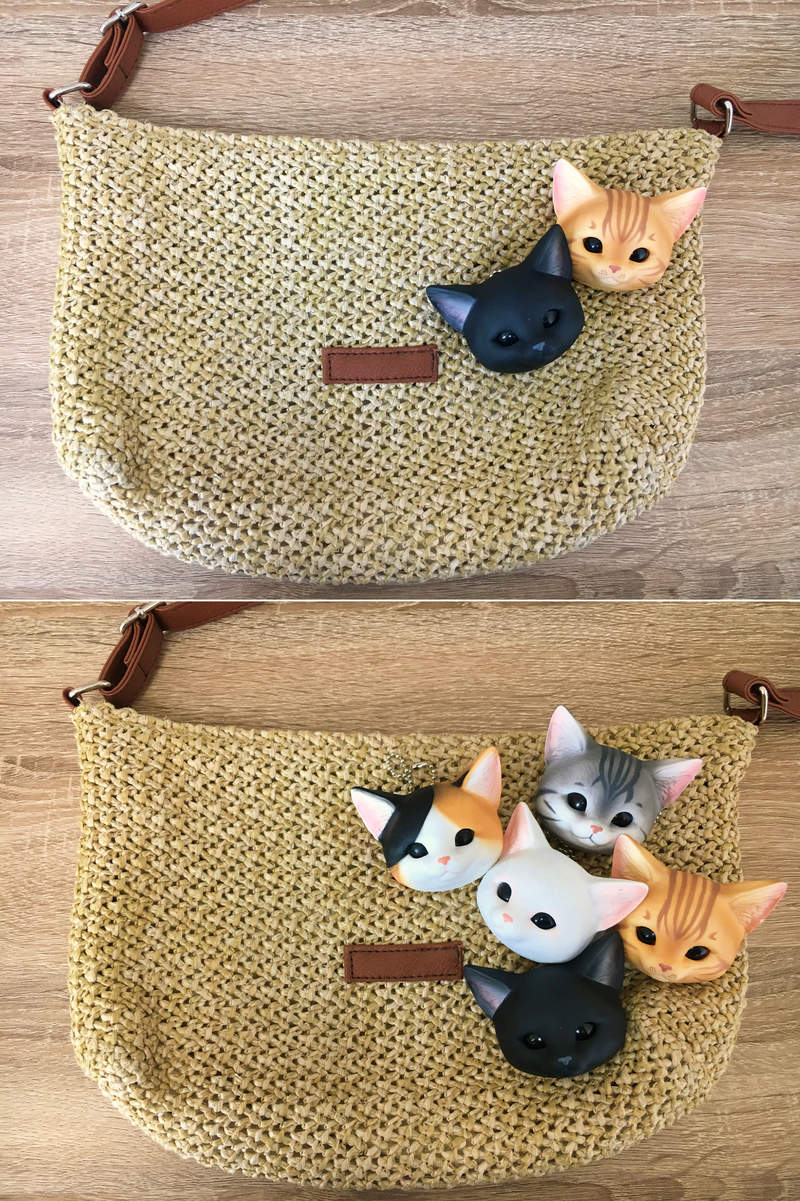 圖片7 圖片7
