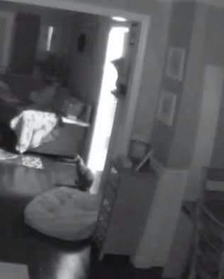 圖片4 圖片4