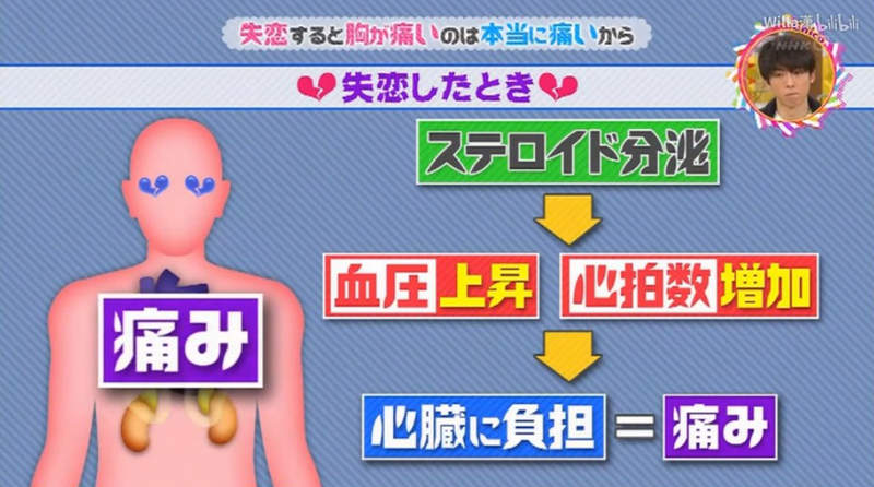 圖片5 圖片5