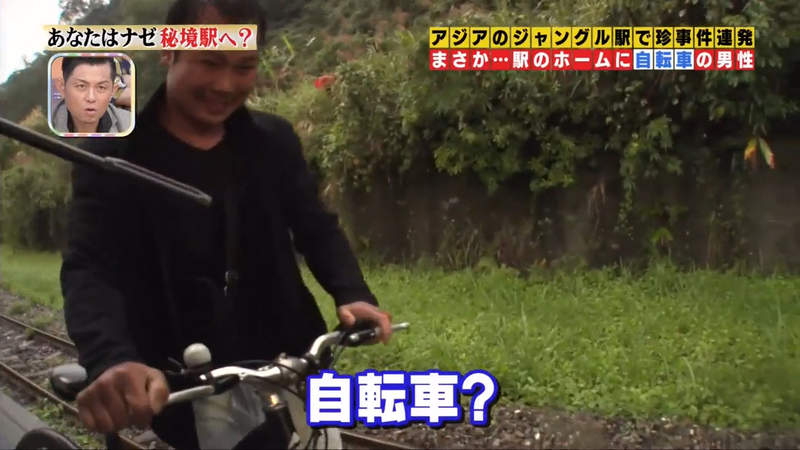 圖片36 圖片36