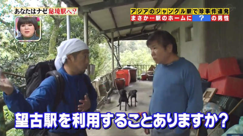 圖片33 圖片33