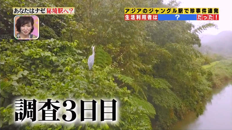 圖片73 圖片73