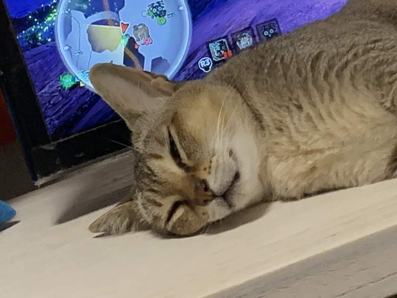 圖片5 圖片5
