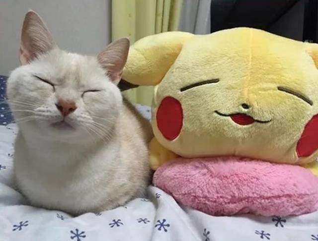 圖片8 圖片8