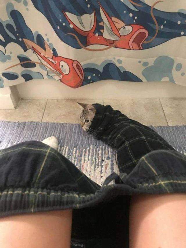 圖片24 圖片24