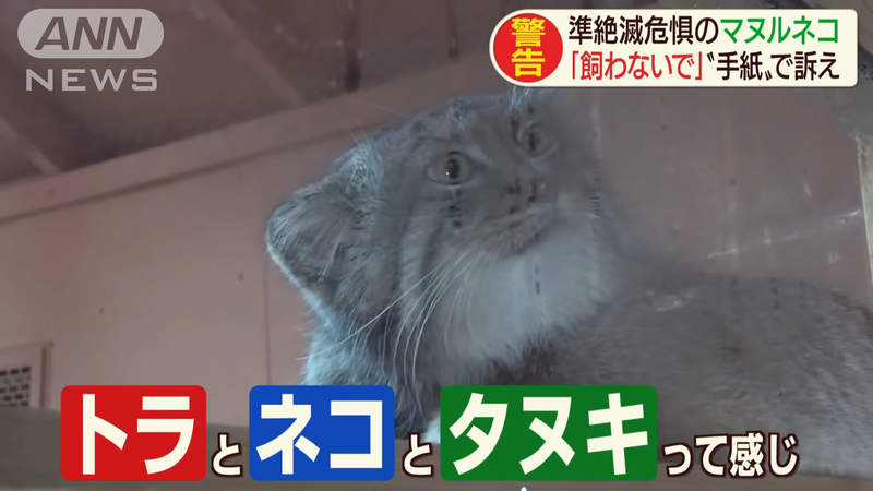 圖片5 圖片5