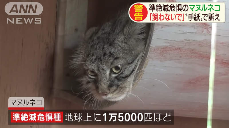 圖片9 圖片9