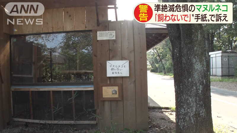 圖片7 圖片7