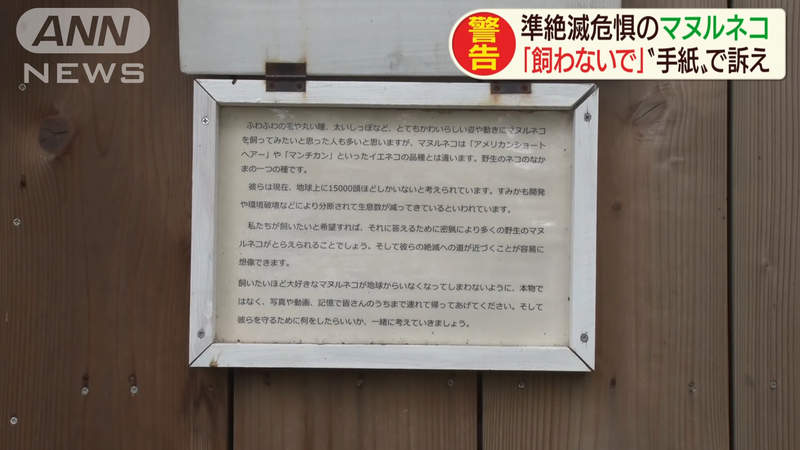 圖片8 圖片8