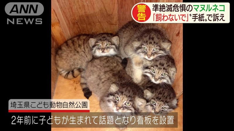 圖片10 圖片10