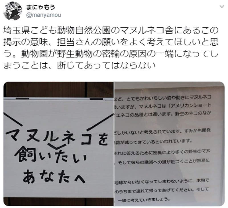 圖片6 圖片6
