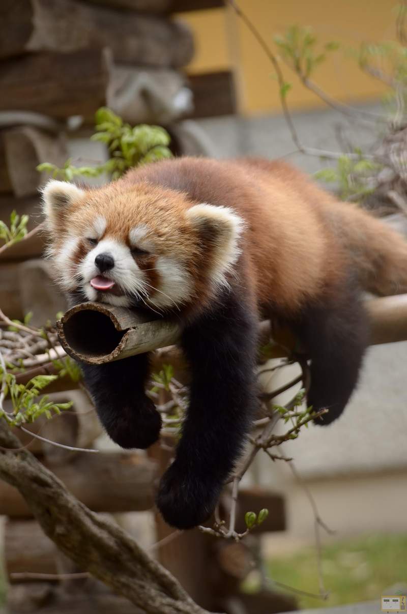 圖片4 圖片4