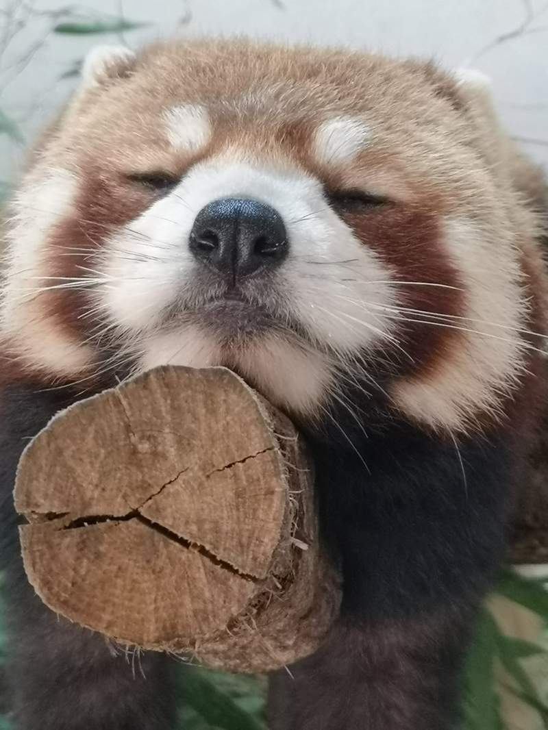 圖片7 圖片7