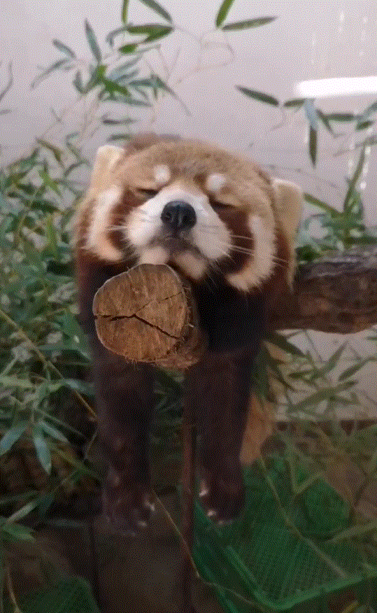 圖片6 圖片6