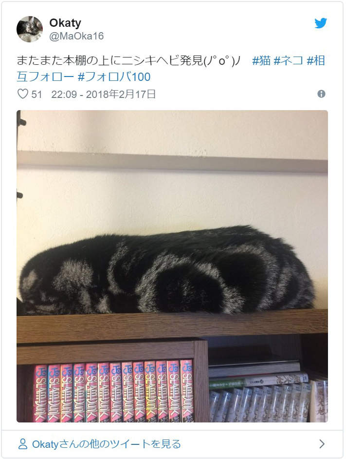 圖片6 圖片6