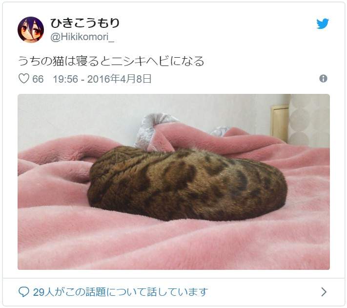圖片7 圖片7