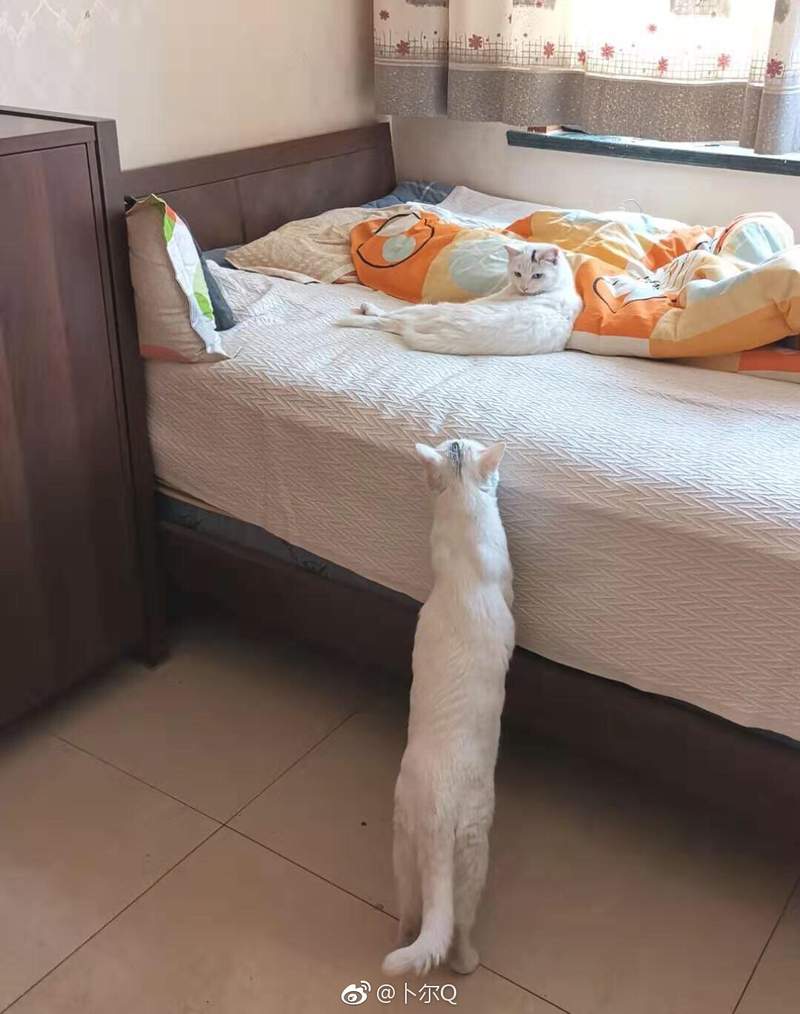 圖片5 圖片5