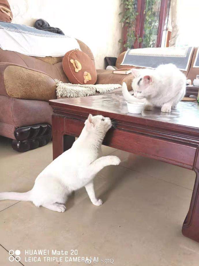 圖片7 圖片7