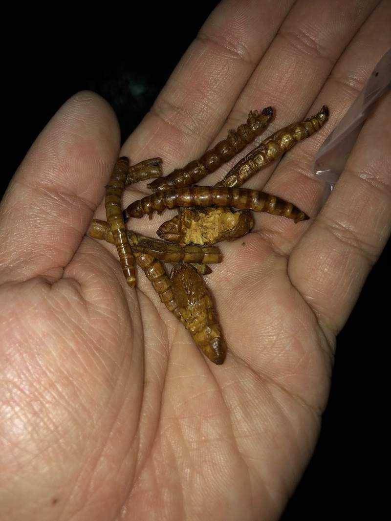 圖片8 圖片8