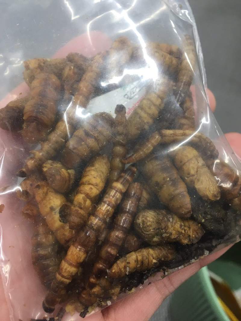 圖片7 圖片7