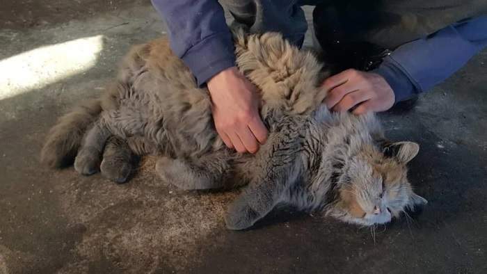 圖片14 圖片14