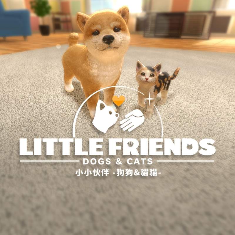 圖片9 圖片9