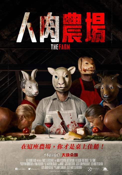 圖片11 圖片11