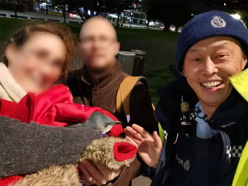 圖片5 圖片5