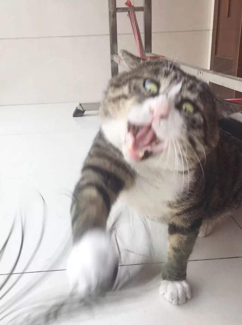 圖片4 圖片4