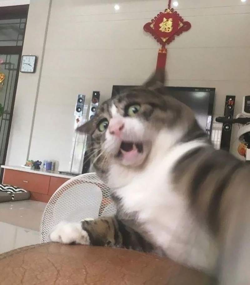 圖片6 圖片6