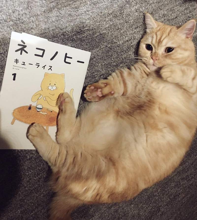 圖片6 圖片6