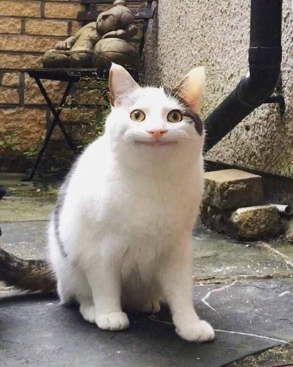 圖片7 圖片7