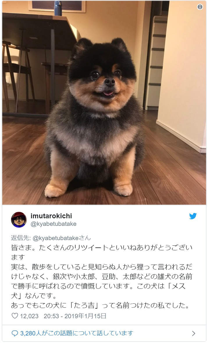 圖片4 圖片4