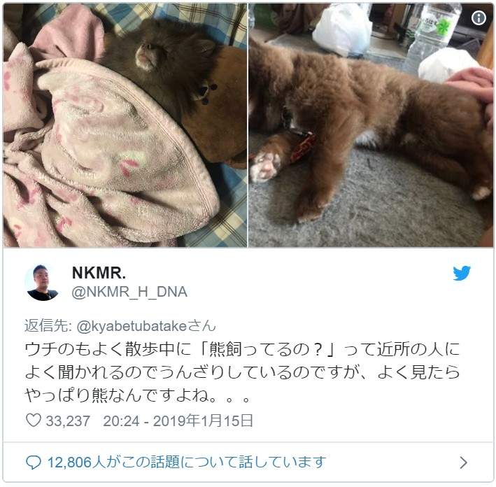 圖片8 圖片8